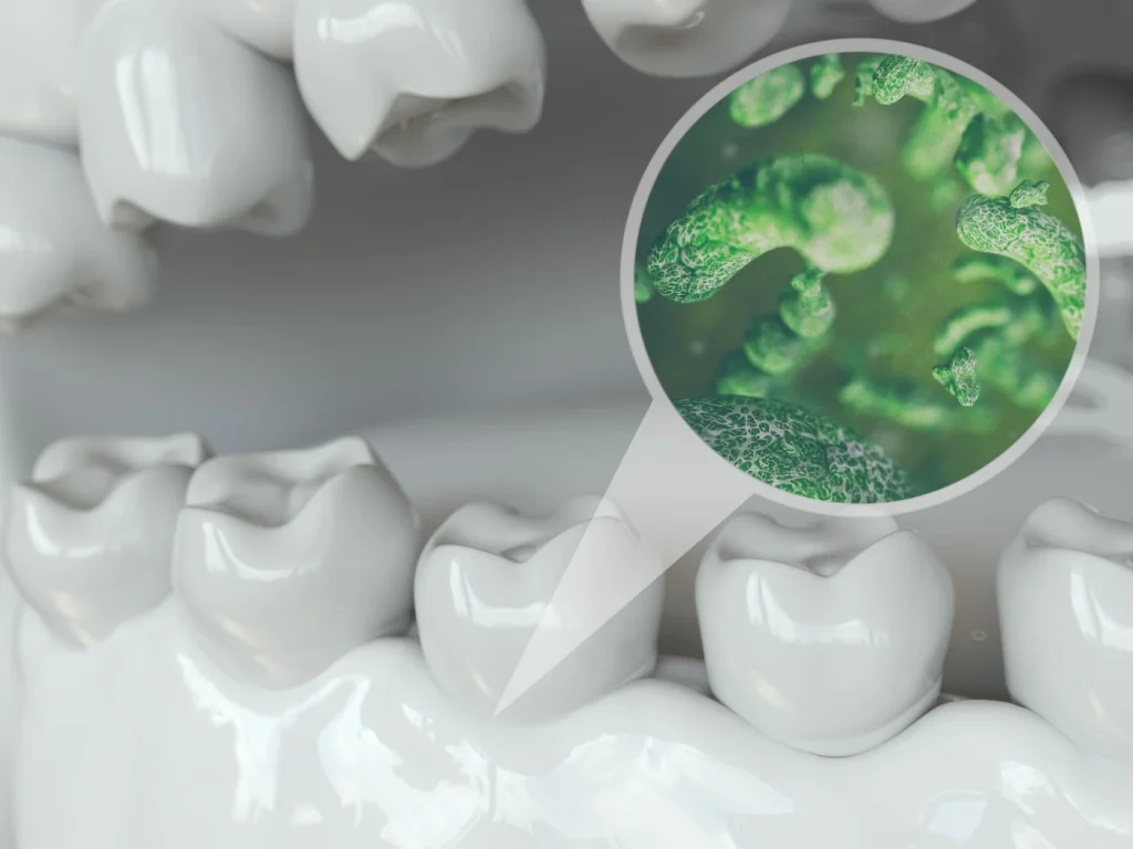 01844 Dentist