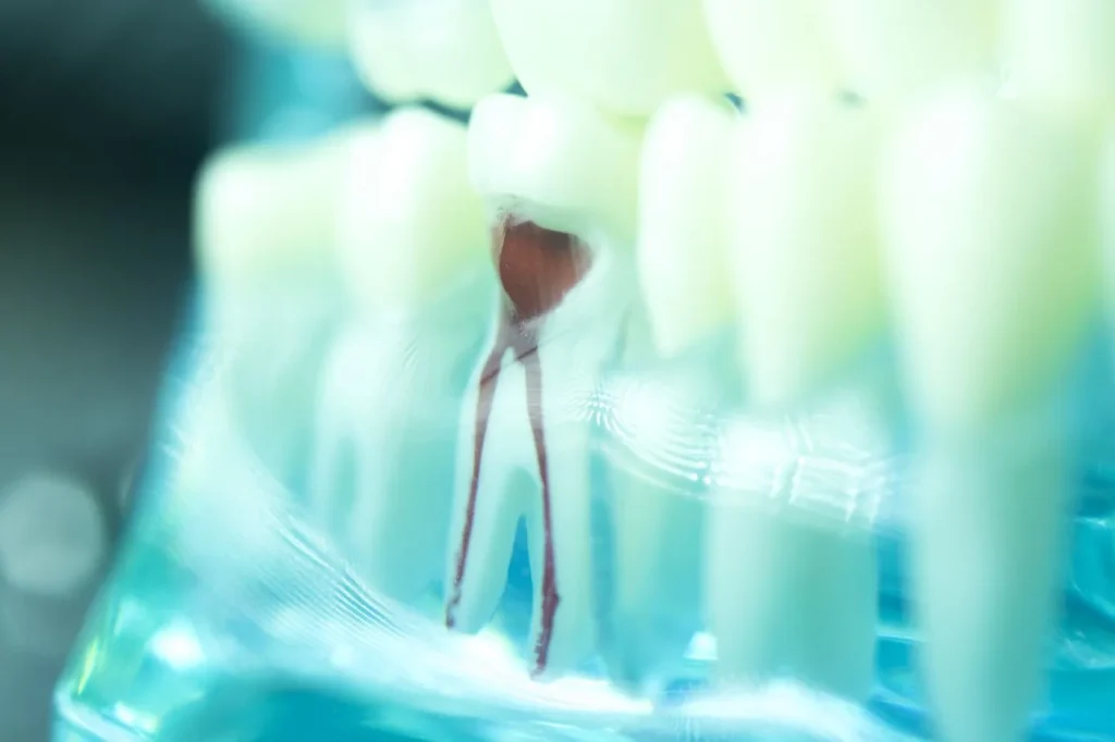 Methuen Dentist