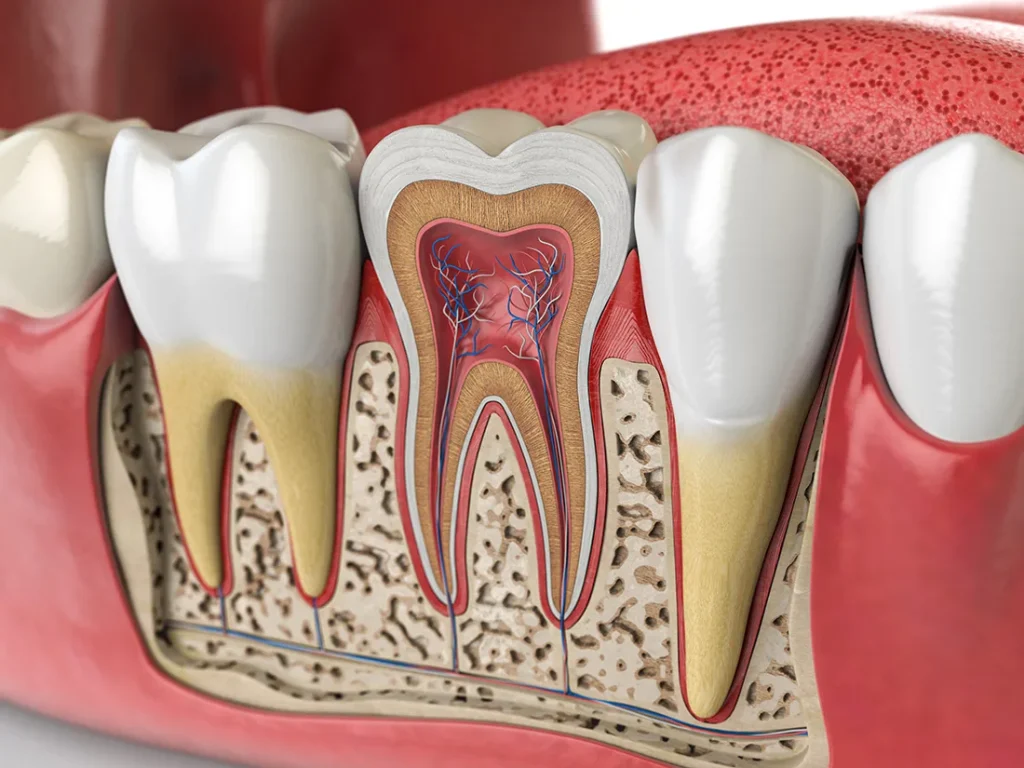 Dentist Methuen
